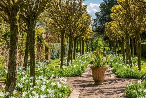 The Walk of the Unicorn