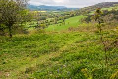 The view from Cothelstone Hill