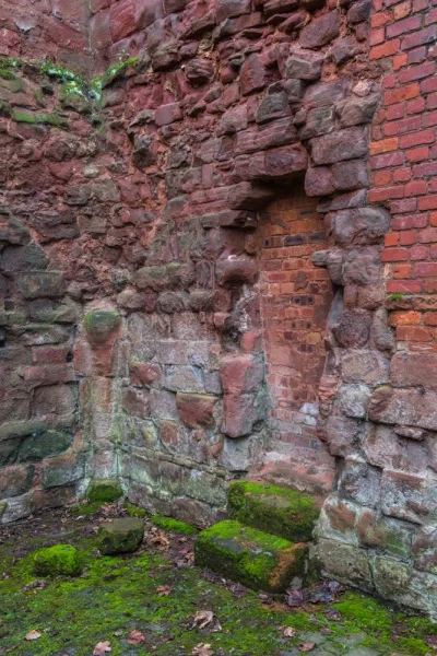 The vaulted cellar entrance door