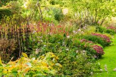 Craigieburn Garden, A colourful border in the upper garden