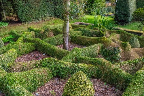 Clipped hedges are a garden feature