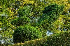 Craigieburn Garden, A topiary bird atop a clipped hedge