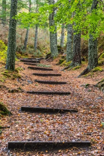 Climbing to the hill fort