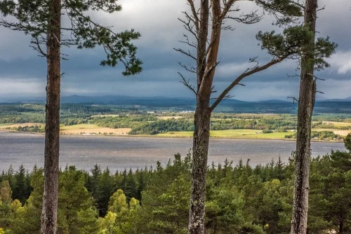 The Beauly Firth from atop Craig Phadrig