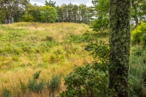 Looking across the hollow hill fort interior
