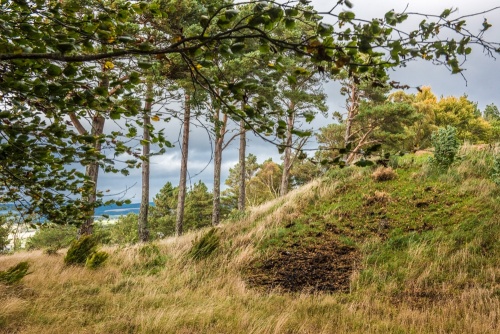 The ramparts of Craig Phadrig hill fort