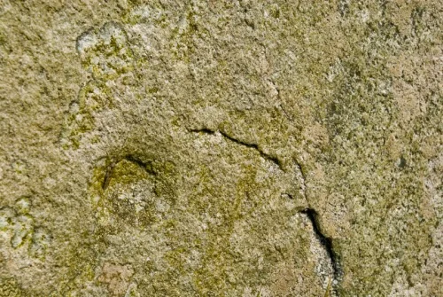 One of the cup marks, SW face