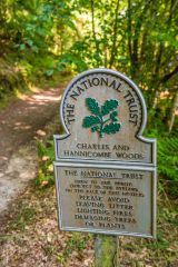 The road passes through National Trust woodland