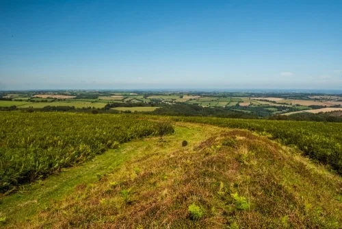 Looking north along the ramparts