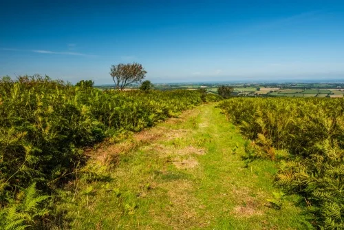 Inside the hillfort ramparts