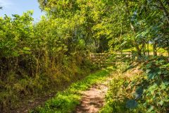 Don't miss the turnoff to Cranbrook Castle!