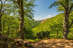 There is a viewpoint and bench halfway up the hill