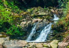 A cascade on Crarae Burn