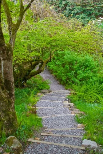 Paths lead beside Crarae Burn