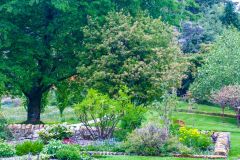 The lower garden at Crarae