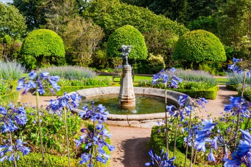 A quiet garden pond