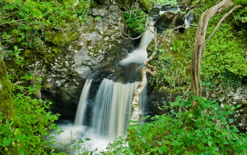 Waterfalls at Wood of Cree