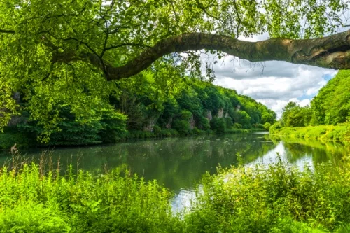 Crags Pond at Creswell Crags