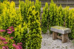 Crookham Peace Garden, A quiet corner of the garden
