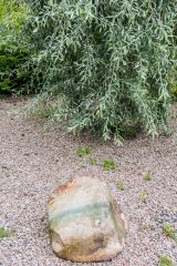 Crookham Peace Garden, A Zen-like area of the garden