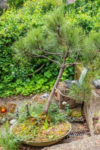 Another view of the memorial gardens