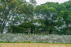 The wooded church enclosure