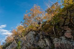 Cliffs in the centre of the woodland