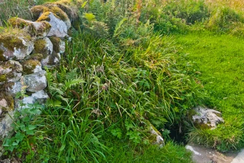 The Well of the Dead