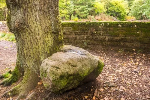 The Lord President's Seat, Culloden Woods