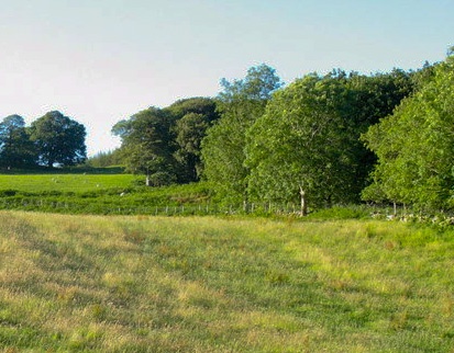 The wooded motte of Cymer Castle (c) Eric Jones