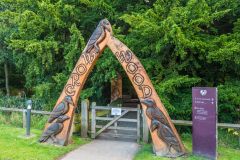 Crow Wood woodland trail