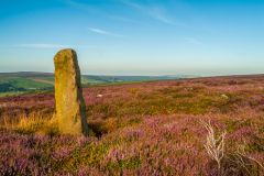 A standing stone on Danby Beacon