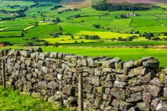 The view from Danby Beacon