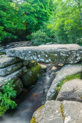 The western clapper, looking downstream