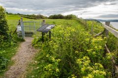 Daws Castle, You emerge from woods into the castle field