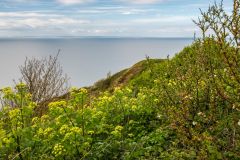 Daws Castle, Part of the castle has been lost to coastal erosion