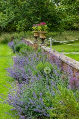 Colourful borders on the south lawn