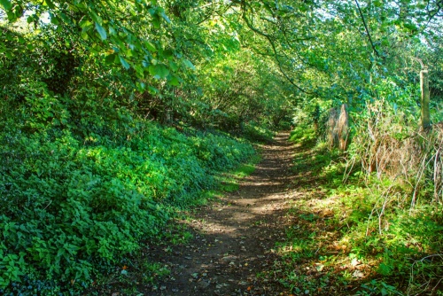The earthwork ditch