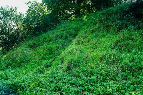 Deddington Castle earthworks