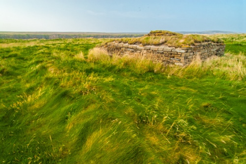 Brough of Deerness Ruined Chapel