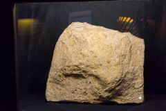 The Dinosaur Museum, A megalosaurus footprint