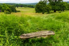 A quiet bench overlooking the park