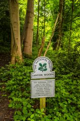 Entering Dinton Woods