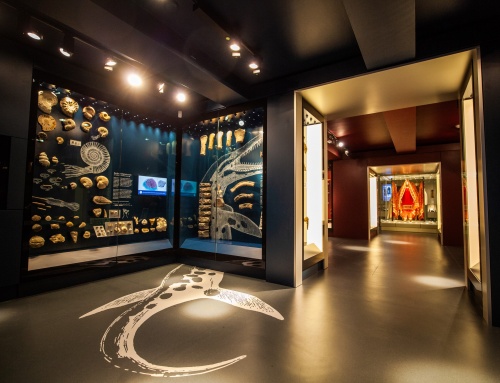 The Geology Gallery