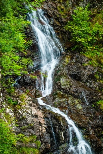 The waterfall in spring