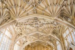 The superb Divinity School vaulting