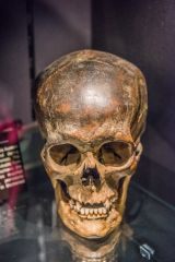 Partially cremated skull discovered on Birkrigg Common