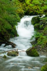 Waterfall at Dodd Wood