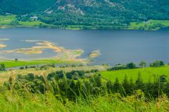 The walk to Dodd Summit gives superb views over Bassenthwaite Lake