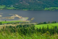 Bassenthwaite Lake from Dodd Wood